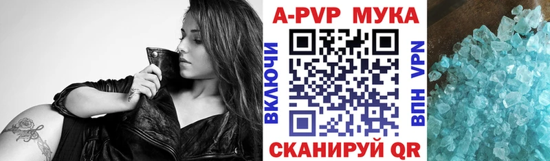 Alfa_PVP СК  Большой Камень 