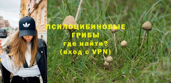 дживик Алзамай