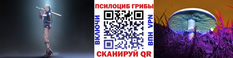 Галлюциногенные грибы ЛСД Большой Камень