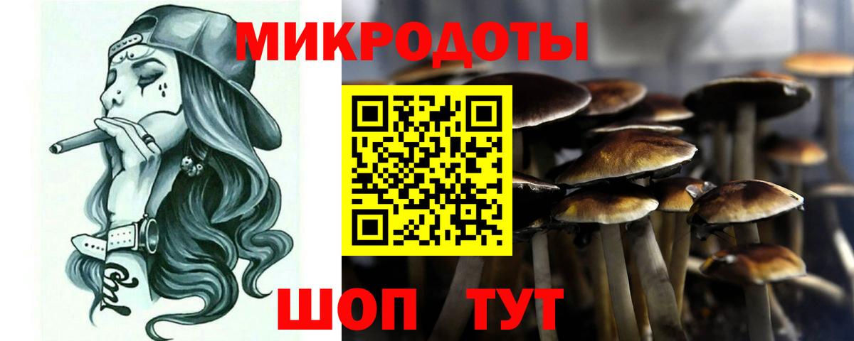 Псилоцибиновые грибы Psilocybine cubensis Большой Камень