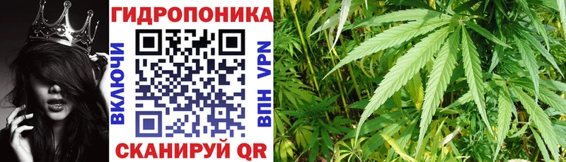 где продают наркотики  Большой Камень  Шишки марихуана тримм 